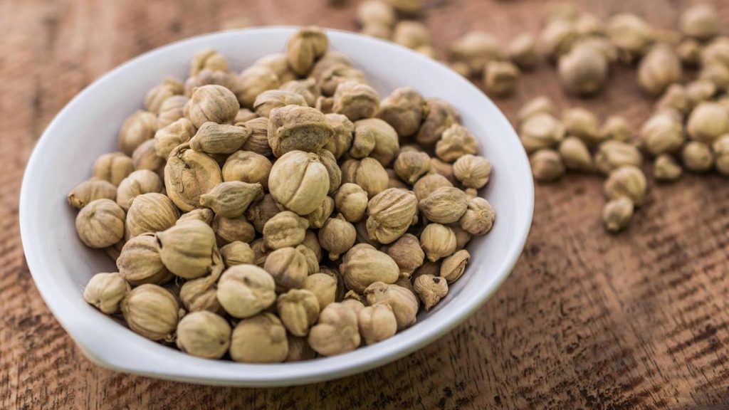 Kapulaga yang punya aroma khas dan sering dipakai dalam makanan, minuman teh rempah, bahkan parfum
